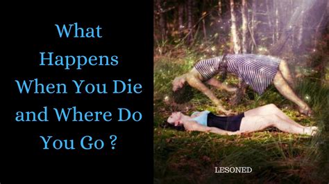 What happens when you die where do you go. Things To Know About What happens when you die where do you go. 